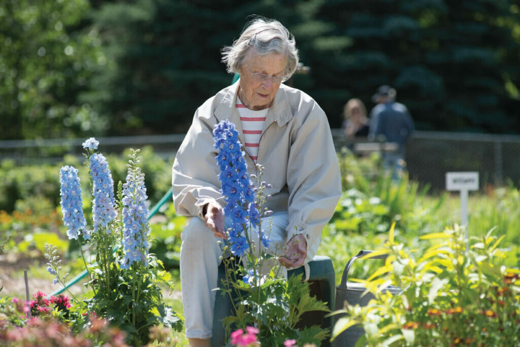 WL2_8097 looking at flowers in the garden