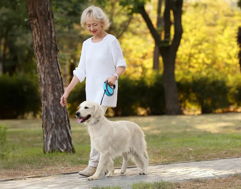 Senior woman walking her dog outside